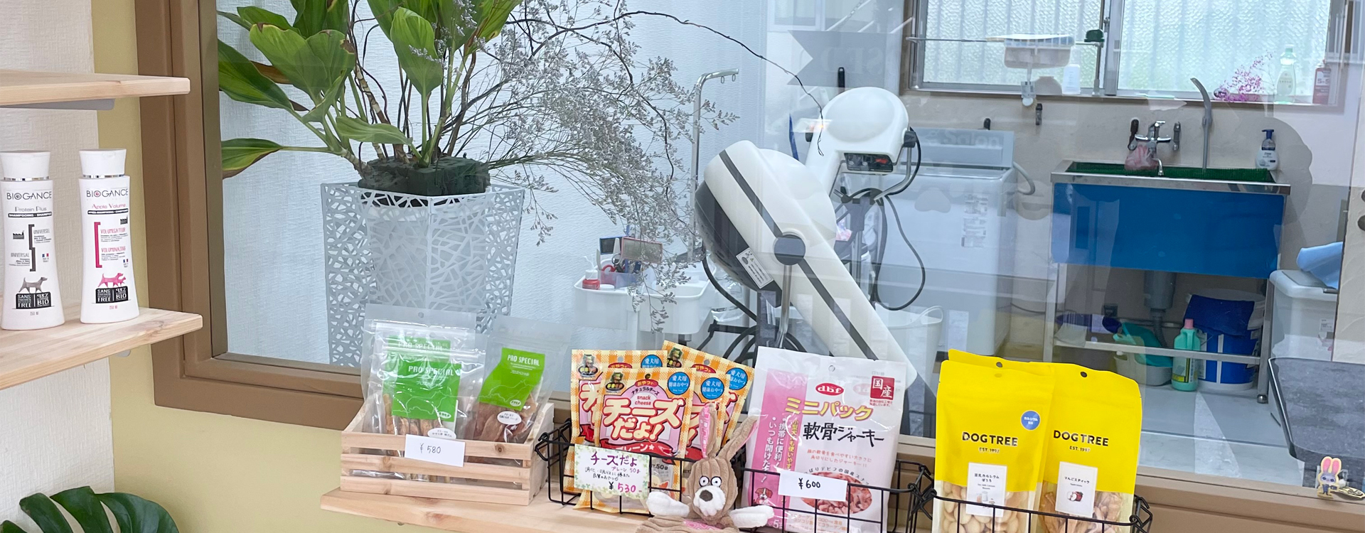 ドッグサロン carone