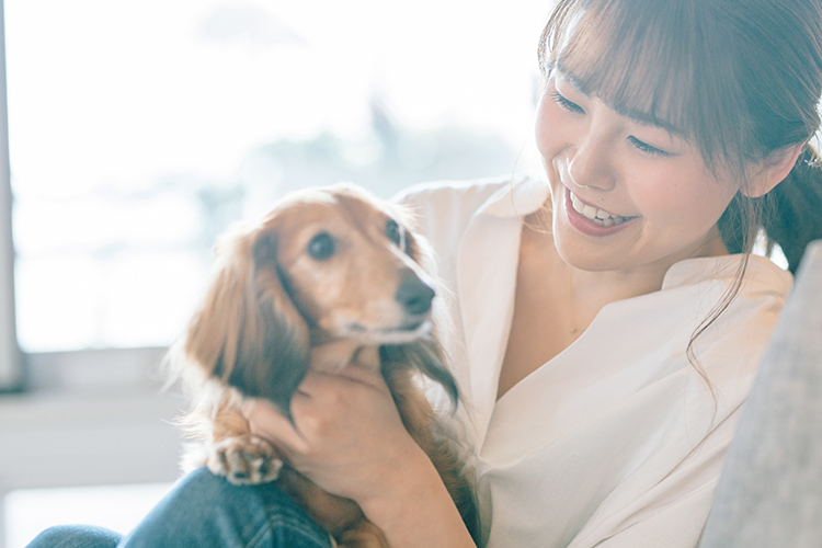 ワンちゃんとのコミュニケーションを大切に
